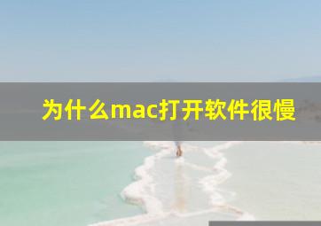 为什么mac打开软件很慢