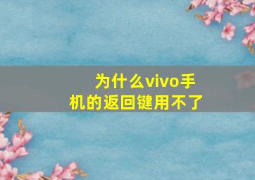 为什么vivo手机的返回键用不了