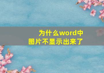 为什么word中图片不显示出来了