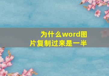 为什么word图片复制过来是一半