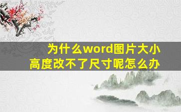 为什么word图片大小高度改不了尺寸呢怎么办