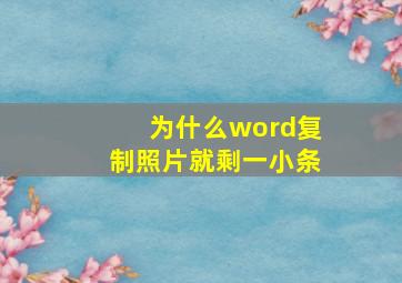 为什么word复制照片就剩一小条