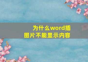 为什么word插图片不能显示内容