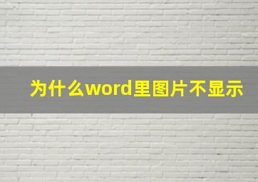 为什么word里图片不显示