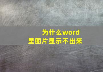 为什么word里图片显示不出来