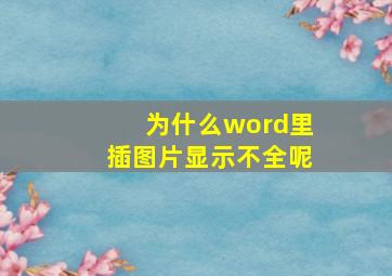 为什么word里插图片显示不全呢