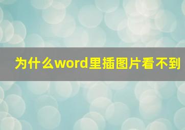 为什么word里插图片看不到