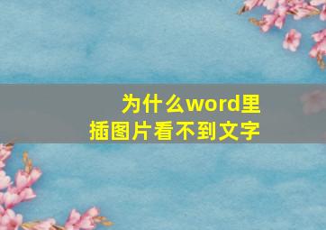 为什么word里插图片看不到文字