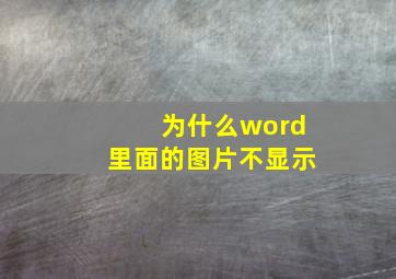 为什么word里面的图片不显示