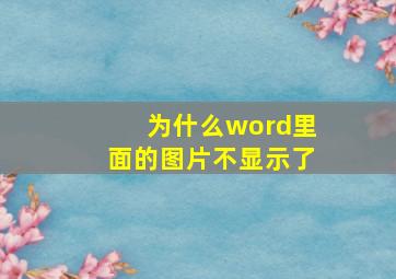 为什么word里面的图片不显示了