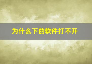 为什么下的软件打不开