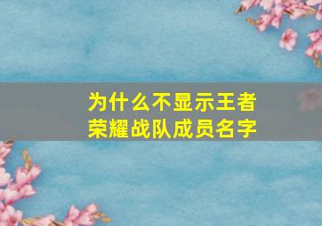 为什么不显示王者荣耀战队成员名字