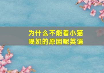 为什么不能看小猫喝奶的原因呢英语