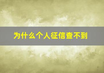 为什么个人征信查不到