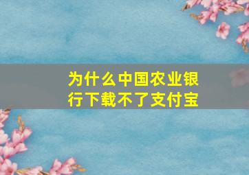 为什么中国农业银行下载不了支付宝