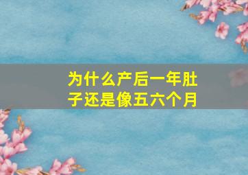 为什么产后一年肚子还是像五六个月