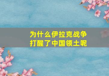 为什么伊拉克战争打醒了中国领土呢