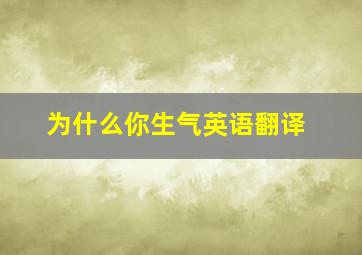 为什么你生气英语翻译