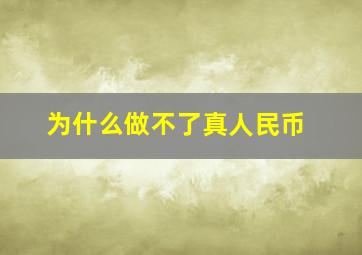 为什么做不了真人民币