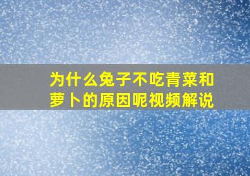 为什么兔子不吃青菜和萝卜的原因呢视频解说