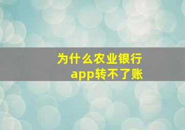 为什么农业银行app转不了账