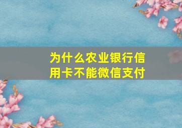 为什么农业银行信用卡不能微信支付