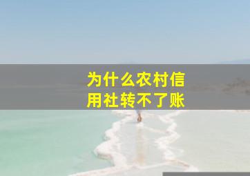 为什么农村信用社转不了账