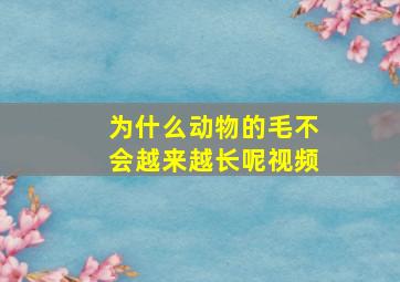 为什么动物的毛不会越来越长呢视频