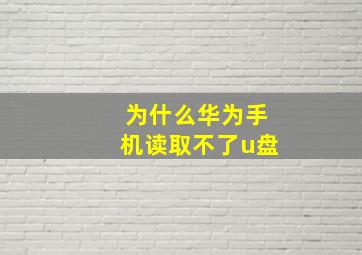 为什么华为手机读取不了u盘