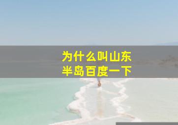 为什么叫山东半岛百度一下