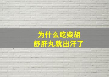 为什么吃柴胡舒肝丸就出汗了