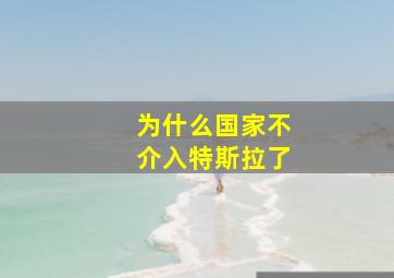 为什么国家不介入特斯拉了