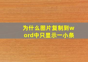 为什么图片复制到word中只显示一小条