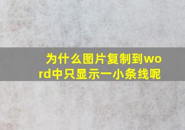 为什么图片复制到word中只显示一小条线呢