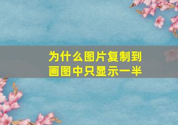 为什么图片复制到画图中只显示一半