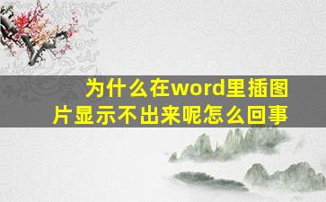 为什么在word里插图片显示不出来呢怎么回事