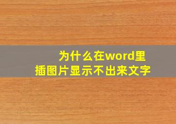 为什么在word里插图片显示不出来文字