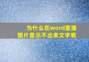 为什么在word里插图片显示不出来文字呢