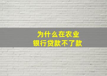 为什么在农业银行贷款不了款