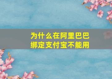 为什么在阿里巴巴绑定支付宝不能用