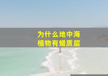 为什么地中海植物有蜡质层