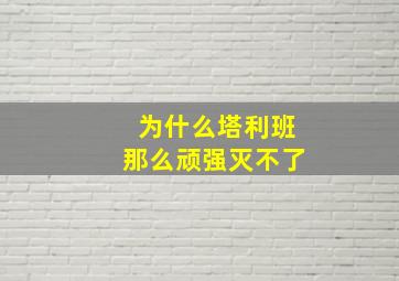 为什么塔利班那么顽强灭不了