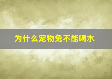 为什么宠物兔不能喝水