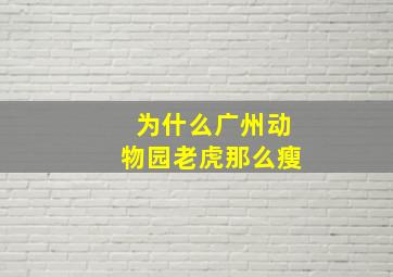 为什么广州动物园老虎那么瘦