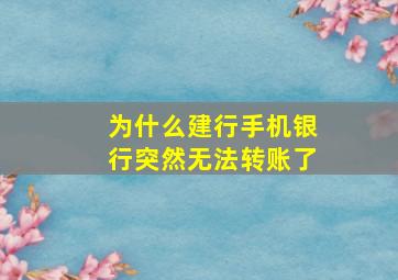 为什么建行手机银行突然无法转账了