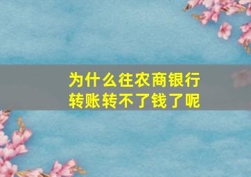 为什么往农商银行转账转不了钱了呢