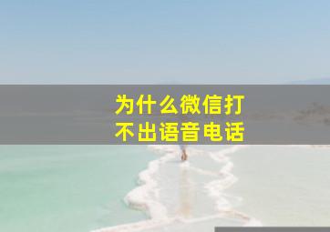 为什么微信打不出语音电话