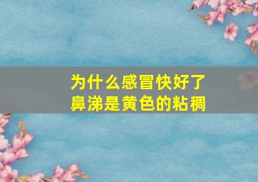 为什么感冒快好了鼻涕是黄色的粘稠