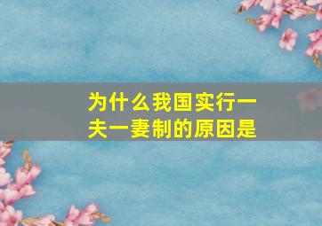 为什么我国实行一夫一妻制的原因是