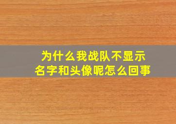 为什么我战队不显示名字和头像呢怎么回事